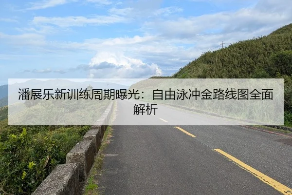 潘展乐新训练周期曝光：自由泳冲金路线图全面解析